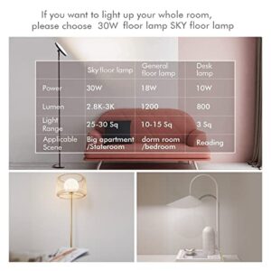 Super Bright LED Floor Lamp with Remote & Touch Control for Living Room /Bedroom /Office ,Sky Standing Tall Lamp 30W/2800LM with Timer,Torchiere Lamp with Stepless Dimmer&4 Color Temperature