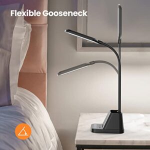 LED Desk Lamp with USB Charging Port, Small Desk Lamps for Home Office, AXX Desk Light for Bedrooms, Black Office Lamp for Small Spaces, 650LM, Gooseneck, Pen Holder, Study Lamps for College Dorm Room