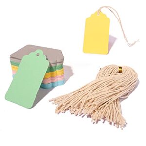 100PCS Blank Gift Tags, Paper Tags for Wedding, Blank Craft Marking Hang Tags with Free 100 Root String (Mix 5 Color)