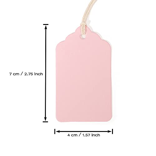 100PCS Blank Gift Tags, Paper Tags for Wedding, Blank Craft Marking Hang Tags with Free 100 Root String (Mix 5 Color)