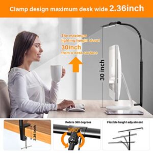 selfila LED Desk Lamp with Clamp - Architect Desk Lamp Swing Arm Task Light 360 ° Rotation Gooseneck Desktop Lighting for Office Home Workbench Drafting Reading