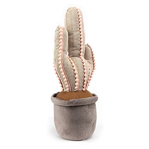 Decorative Cactus Door Stop-Cute Weighted Door Stopper for Home and Office Decoration