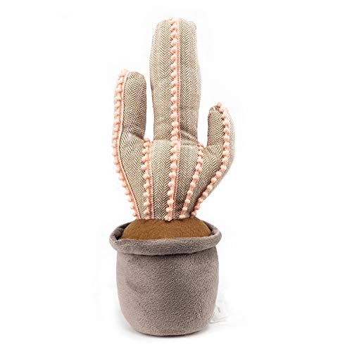 Decorative Cactus Door Stop-Cute Weighted Door Stopper for Home and Office Decoration