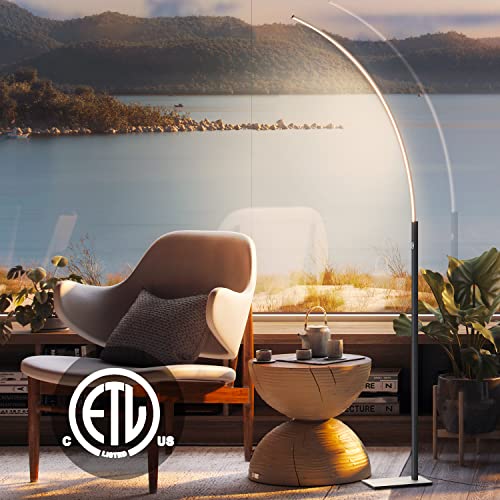 Modern 63" Arc Floor Lamp - Brushed Sliver Standing Lamp for Living Room and Bedroom, Touch Control 3000K Warm Light and 3-Way Dimmable Brightness Grey Lamp, Unique LED Corner Floor Lamp for Couch