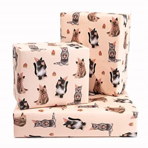 CENTRAL 23 - Cat Wrapping Paper - 6 Sheets of Pink Birthday Gift Wrap - Kittens in Hats - For Women Girls New Baby - Recyclable