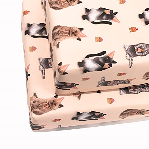 CENTRAL 23 - Cat Wrapping Paper - 6 Sheets of Pink Birthday Gift Wrap - Kittens in Hats - For Women Girls New Baby - Recyclable