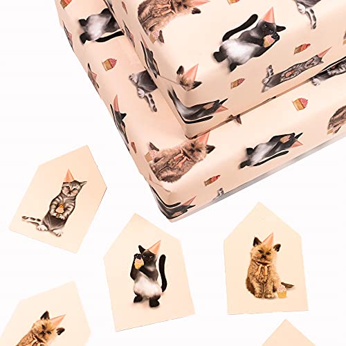 CENTRAL 23 - Cat Wrapping Paper - 6 Sheets of Pink Birthday Gift Wrap - Kittens in Hats - For Women Girls New Baby - Recyclable