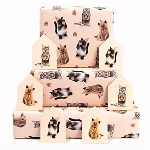 CENTRAL 23 - Cat Wrapping Paper - 6 Sheets of Pink Birthday Gift Wrap - Kittens in Hats - For Women Girls New Baby - Recyclable