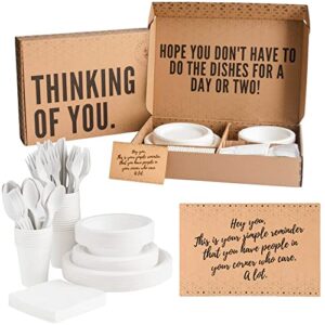 sydney & june – the gift of no dishes, paper goods care package for women, 195 count box of paper goods gift, get well gifts baskets, thinking of you care package for women, chemo care package for women, miscarriage gifts for mothers, get well gifts for w