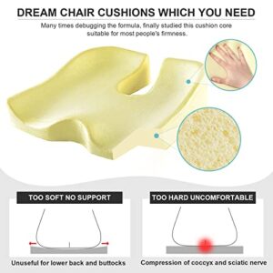 Pressure Relief Seat Cushion for Office Chair - Butt, Back, Coccyx, Tailbone, Sciatica Cushion, Memory Foam Chair Cushion for Long Sitting - Computer Desk Chair Car Lower Back Pain Relief Cushion /Pad