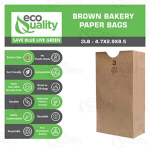 EcoQuality 100 Small Brown Kraft Paper Bag (3 lb) Small - Paper Lunch Bags, Small Snacks, Gift Bags, Grocery, Merchandise, Party Bags (4-3/4" x 2-15/16" x 8-9/16) (3 Pound Capacity)