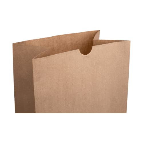 Karat 20 LB Paper Bag (Kraft) - 500 ct