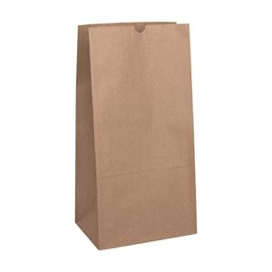 Karat 20 LB Paper Bag (Kraft) - 500 ct