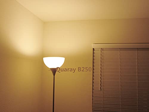 Quaray 10 Inch Plastic Bowl Lamp Shade for Torchiere Floor Lamp, White, B250