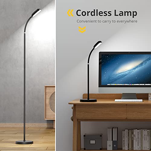 IPARTS EXPERT Smart Floor Lamp, Rechargeable Type-C Cordless Lamp Touch Control LED Standing Light, F Gooseneck ,3 Colors Stepless Dimmable Floor Light for Living Room Bedroom Office (Black)