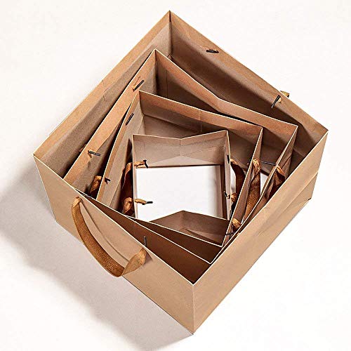 7.8inch Square Brown Kraft Paper Bags Flowers Gift Bags with Ribbon Handles,Pack of 12