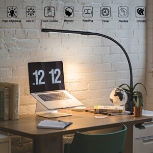 AmazLit Desk Lamp, Eye-Caring Desk Light, Gooseneck Lamp with Clamp, Adjustable Color Temperature & Brightness, Clip on Lamp with Memory & Timer Function, Clamp Lamp for Home Office, 12W, Black