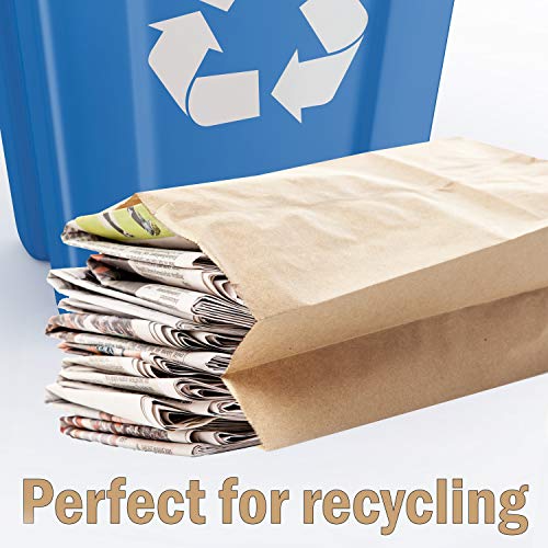 100 Large Paper Grocery Bags, 12x7x17 Kraft Brown Heavy Duty Sack for Recycling