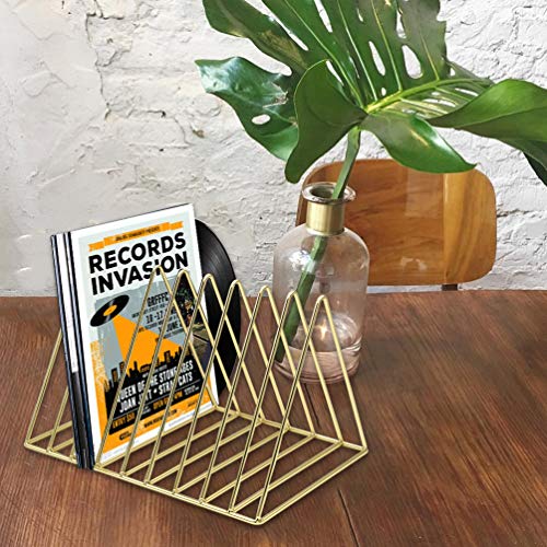 Pashion Vinyl Record Stand Holder, Desktop Album Storage Rack, Triangle Vinyl Record Shelf Display Vinyl Coated Metal Wire Rack Functional & Stylish Display Rack for Office Home