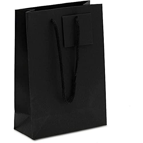 Sparkle and Bash Black Paper Gift Bags with Handles, Tags, Tissue Paper (8 x 5.5 In, 20 Pack)