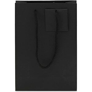 Sparkle and Bash Black Paper Gift Bags with Handles, Tags, Tissue Paper (8 x 5.5 In, 20 Pack)