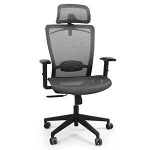 FLEXISPOT OC3B Ergonomic Executive Mesh Office Chair Swivel Height Adjustable Seat Headrest Armrest Lumbar Support Caster Wheels Task Chair Gray Mesh Seat Computer Office Desk Chair