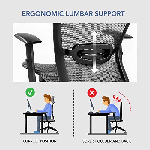 FLEXISPOT OC3B Ergonomic Executive Mesh Office Chair Swivel Height Adjustable Seat Headrest Armrest Lumbar Support Caster Wheels Task Chair Gray Mesh Seat Computer Office Desk Chair