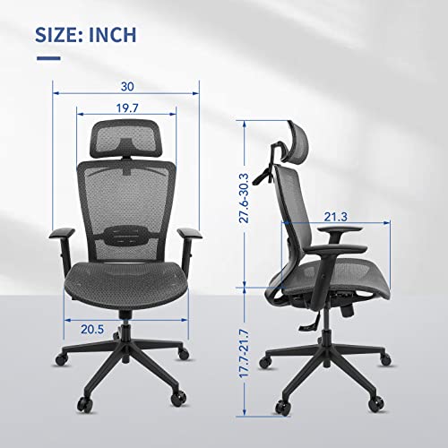 FLEXISPOT OC3B Ergonomic Executive Mesh Office Chair Swivel Height Adjustable Seat Headrest Armrest Lumbar Support Caster Wheels Task Chair Gray Mesh Seat Computer Office Desk Chair