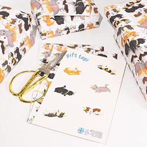CENTRAL 23 - Fun Cat Wrapping Paper - 6 Sheets of Gift Wrap - For Men Women - Cat Conga - For Cat Owners - For Men Women - Recyclable