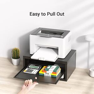 AMERIERGO Printer Stand, Desktop Printer Stand, Printer Stand with Storage, Desktop Stand for Printer with Anti - Skid Pads, Desk Organizer for Office & Home, Black