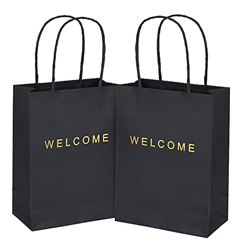 driew Welcome Gift Bags 20 Pack, 5.9 x 3.1 x 8.3'' Back Paper Bags with Handles Back Gift Bags for Retail, Wedding,Party, Shopping