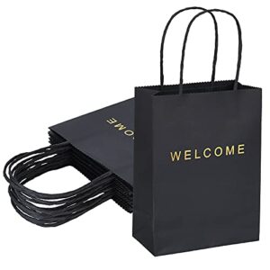 driew Welcome Gift Bags 20 Pack, 5.9 x 3.1 x 8.3'' Back Paper Bags with Handles Back Gift Bags for Retail, Wedding,Party, Shopping