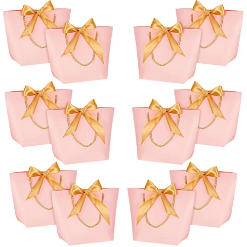 20 Pieces Gift Bags with Handles Paper Party Favor Bag with Bow Ribbon Elegant Gift Bags Gift Bag with Bow Wedding Gift Bags Gift Wrap Bags for Birthday Bridesmaid Welcome Wedding (Large, Pink)