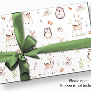 Stesha Party Fawn Woodland Gift Wrap Wrapping Paper - Folded Flat 30 x 20 Inch (3 Sheets)