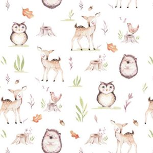 Stesha Party Fawn Woodland Gift Wrap Wrapping Paper - Folded Flat 30 x 20 Inch (3 Sheets)