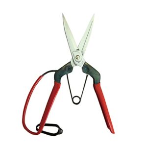 CHIKAMASA professional horticultural pine needles scissors T-710GDX (japan import)