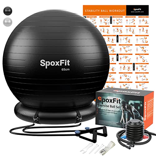 SpoxFit Ball Chair Yoga Ball Set, 65 cm Exercise Ball Chair with Base for Home Office, Stability Balance Ball with Resistance Bands Workout Poster, Home Gym Ball Anti Burst, Silver