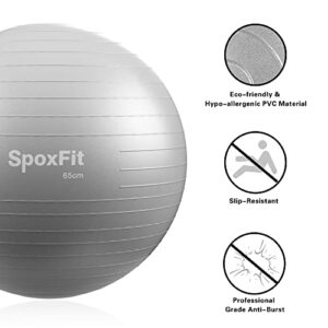 SpoxFit Ball Chair Yoga Ball Set, 65 cm Exercise Ball Chair with Base for Home Office, Stability Balance Ball with Resistance Bands Workout Poster, Home Gym Ball Anti Burst, Silver