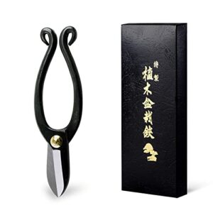 hanafubuki wazakura ikenobo ikebana flower scissors made in japan 6.5inch(165mm), japanese floral arranging tools, kado hasami shears – ikenobo black