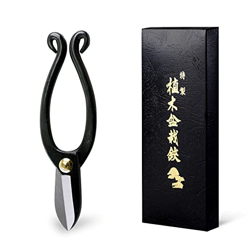 Hanafubuki Wazakura Ikenobo Ikebana Flower Scissors MADE IN JAPAN 6.5inch(165mm), Japanese Floral Arranging Tools, Kado Hasami Shears - Ikenobo Black