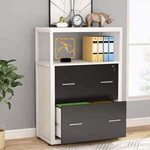 tribesigns 2 drawer lateral file cabinet with lock, letter/legal / a4 size, large modern filing cabinet printer stand with metal wire open storage shelves for office
