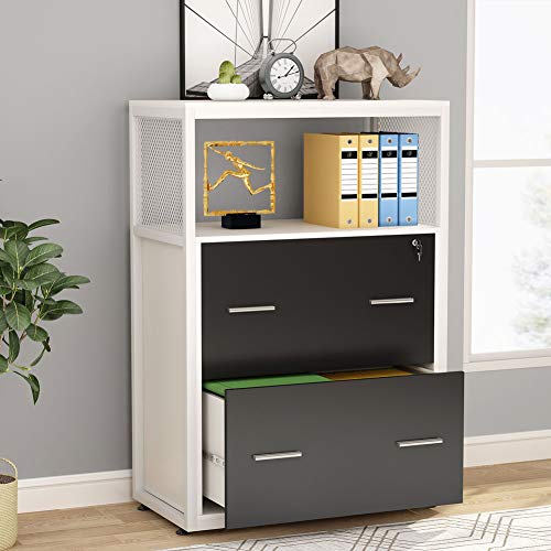 Tribesigns 2 Drawer Lateral File Cabinet with Lock, Letter/Legal / A4 Size, Large Modern Filing Cabinet Printer Stand with Metal Wire Open Storage Shelves for Office