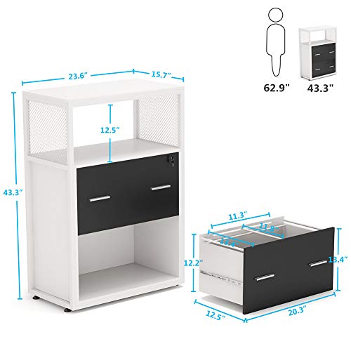 Tribesigns 2 Drawer Lateral File Cabinet with Lock, Letter/Legal / A4 Size, Large Modern Filing Cabinet Printer Stand with Metal Wire Open Storage Shelves for Office