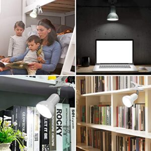 Sun-Rising Clip lamp,360° Rotation Clip on Lamp Portable Book Reading Light,Clamp on Desk/Table/Bunk Bed/Cupboard Home Lighting, (Desk lamp,Seven Colors for Your Choice) Black 2"