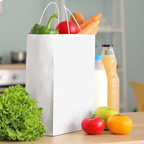 Poever White Paper Bags with Handles 10x5x13 Kraft Gift Bags 100 PCS Bulk, Large Shopping Bags Party Favor Bags Goodie Bags Grocery Bags Merchandise Bags for Packaging Products Recyclable