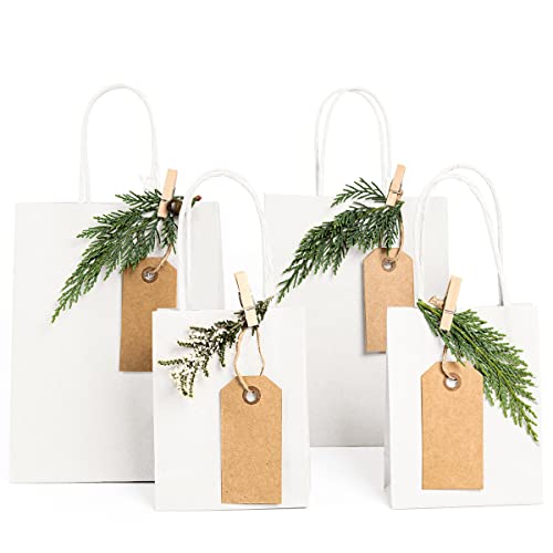 Poever White Paper Bags with Handles 10x5x13 Kraft Gift Bags 100 PCS Bulk, Large Shopping Bags Party Favor Bags Goodie Bags Grocery Bags Merchandise Bags for Packaging Products Recyclable