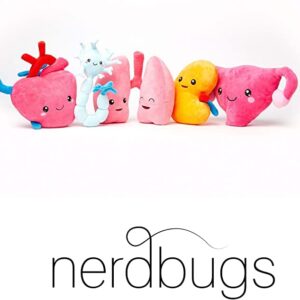 nerdbugs Spine Plush - Baby Got Back! -Spine Plush Organ/ Get Well Gift/ Health Education Toy/ Orthopedics or Neurology Plush Toy Organ Gift/ Neurosurgeon Gift/ Chiropractor Gift