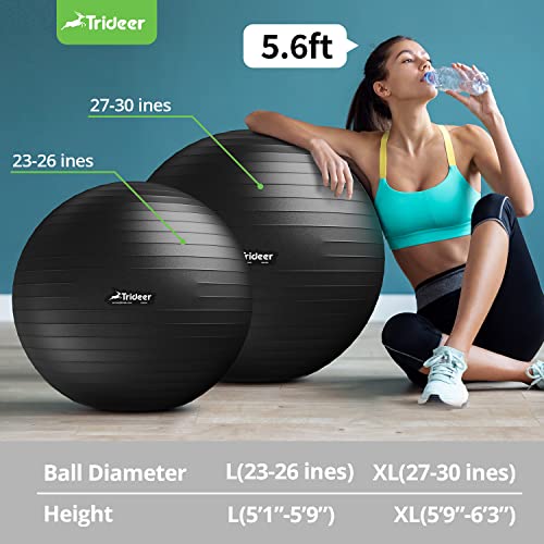 Trideer Ball Chair Yoga Ball Chair Exercise Ball Chair with Base & Bands for Home Gym Workout Ball for Abs, Stability Ball & Balance Ball Seat to Relieve Back Pain (Black with Bands, 75cm)