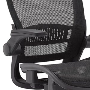 Amazon Basics Ergonomic Adjustable High-Back Mesh Chair with Flip-Up Arms and Headrest, Contoured Mesh Seat - Black