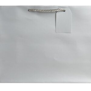 Jillson Roberts 6-Count Large 12.5" x 10" x 5" Gift Bags Available in 12 Solid Colors, Silver Matte